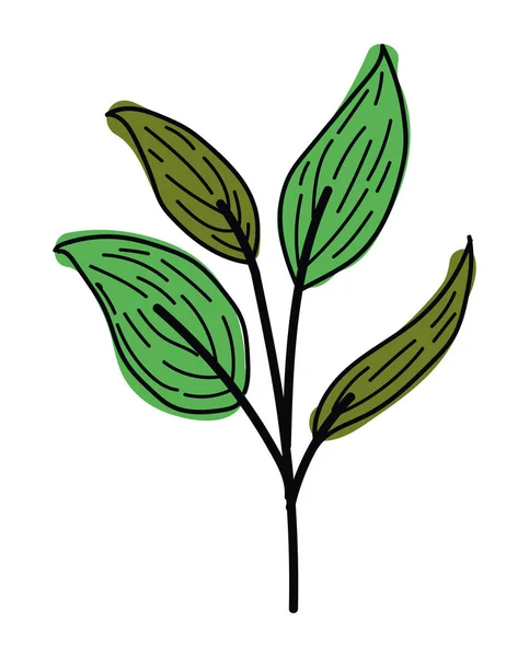 Branch Leafs Plant Foliage — Stockvektor