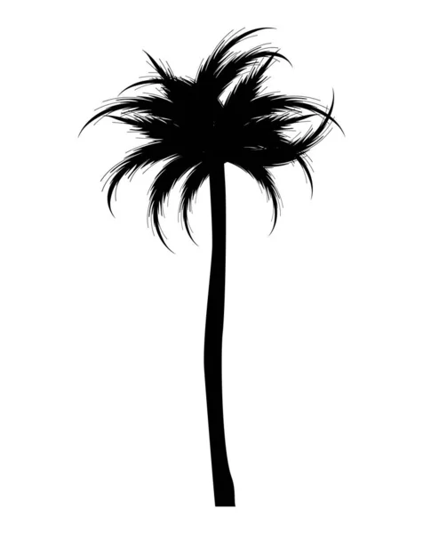 Tropical Tree Palm Silhouette Style Icon — Stok Vektör