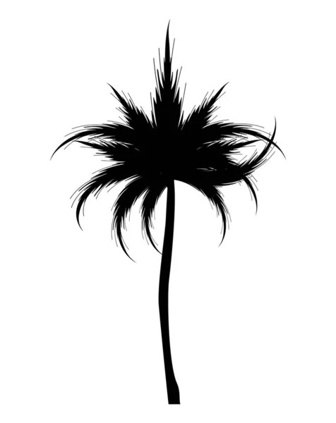 Tree Palm Silhouette Style Icon — Stock Vector