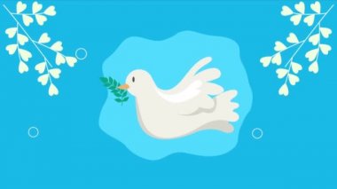 peace animation with dove flying ,4k video animated
