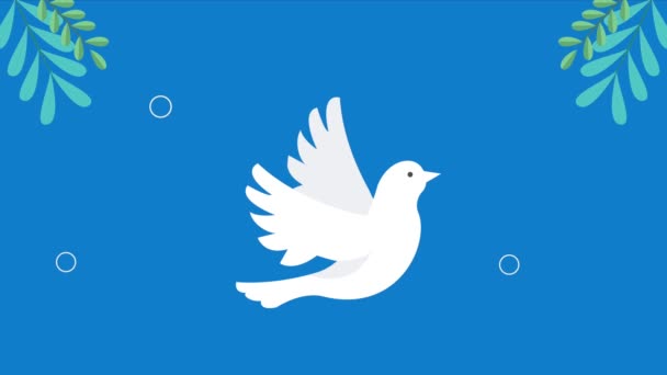 Peace Animation Dove Branches Video Animated — Vídeos de Stock