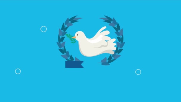 Nemzetközi Nap Béke Betűző Galamb Videó Animált — Stock videók