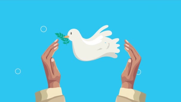 Peace Animation Dove Flying Video Animated — Stok video