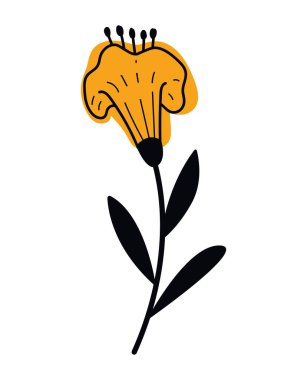 sarı çiçek bahçesi dekorasyonu doğa