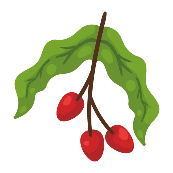 Coffee Plant Beans Icon — ストックベクタ