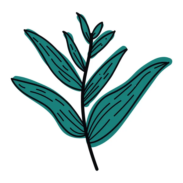 Branch Leafs Foliage Nature Icon — Stockvektor