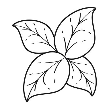 Yapraklar bitki yaprağı doğa simgesi