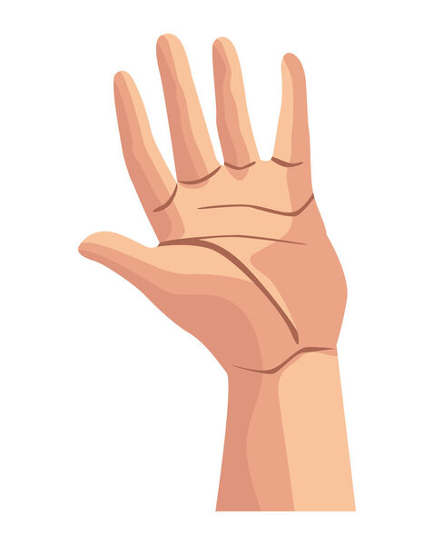 hand human open position icon