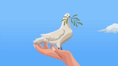 international peace day animation with dove ,4k video animated