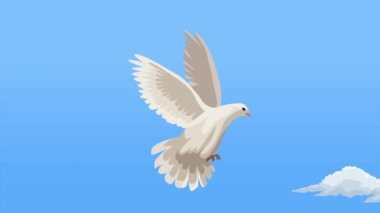 international peace day animation with dove ,4k video animated
