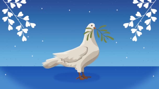 International Peace Day Animation Dove Video Animated — Stok video