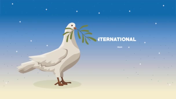 International Peace Day Lettering Animation Video Animated — ストック動画