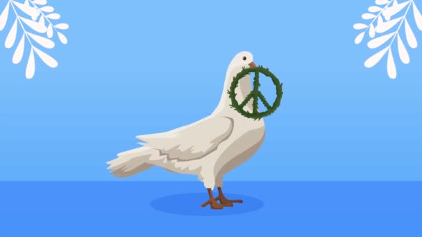 Peace Day Animation Dove Symbol Video Animated — Stok video