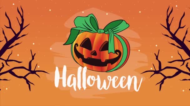 Halloween Celebration Lettering Pumpkin Video Animated — Vídeos de Stock