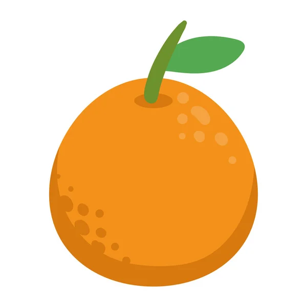 Orangenfrucht Symbol Isolierter Vektor — Stockvektor