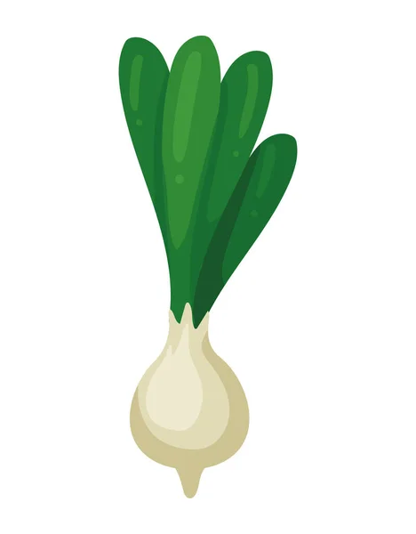 Onion Vegetable Health Food Icon — Stock Vector