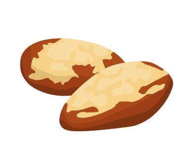 Brezilya cevizi ürünleri doğa simgesi