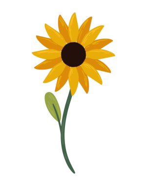 Sarı ayçiçeği bahçesi dekorasyonu doğa