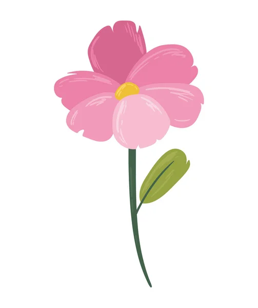 Rosa Blumengarten Dekoration Natur — Stockvektor
