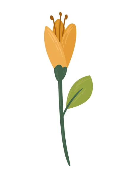 Turuncu Çiçek Bahçesi Dekorasyonu Doğa — Stok Vektör