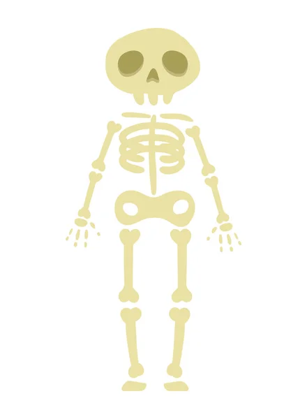 Person Skeleton Costume Character — Stock Vector