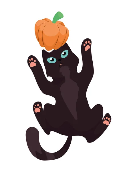 Halloween Gato Jugando Con Mascota Calabaza — Archivo Imágenes Vectoriales