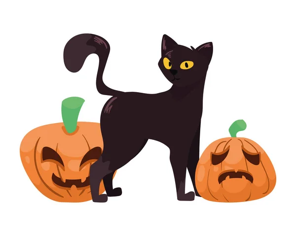 Halloween Gato Con Calabazas Mascota — Archivo Imágenes Vectoriales