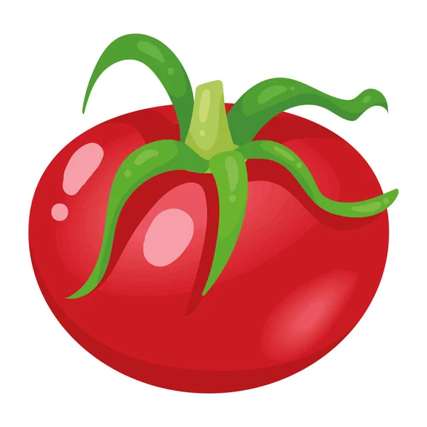 Tomate Fresco Vegetales Alimentos Saludables — Vector de stock