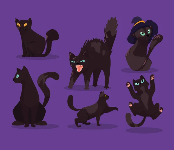 Seis Gatos Negros Mascotas Personajes — Archivo Imágenes Vectoriales