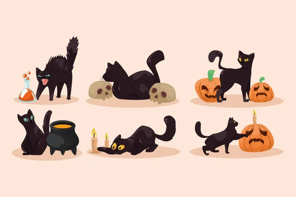 Sześć Halloween Koty Maskotki Znaków — Wektor stockowy