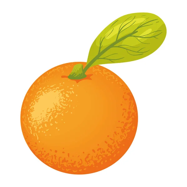 Fresh Orange Fruit Healthy Icon — Stock Vector