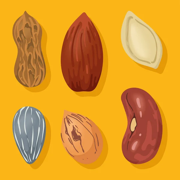 六个坚果小吃设置图标 — 图库矢量图片