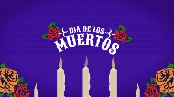 Dia Los Muertos Belettering Video Geanimeerd — Stockvideo