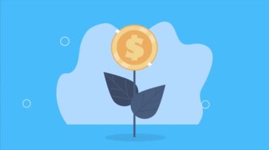 Para dolarları finansal animasyon, 4k video animasyonu