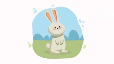 Kamp sahnesindeki tavşan animasyonu, 4k video animasyonu