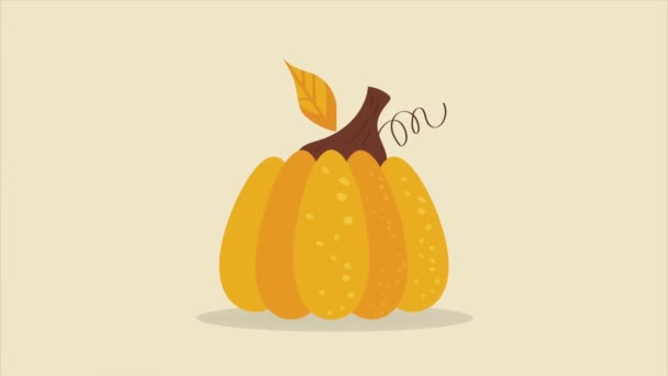Pumpkin Autumn Season Fruit Animation Video Animated — Wideo stockowe