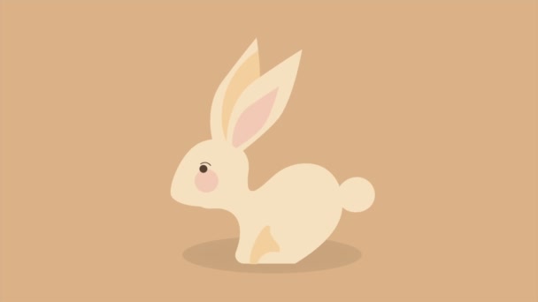 Rabbit Animal Autumn Season Animation Video Animated — Stock Video