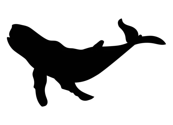 Φάλαινα Sealife Ζώων Σιλουέτα Στυλ — Διανυσματικό Αρχείο