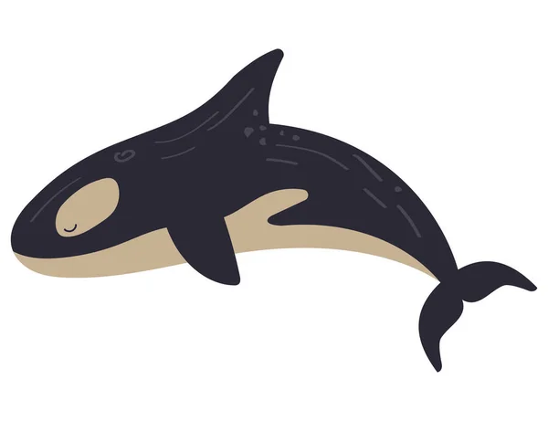 Killer Whale Sealife Animal Nature Icon — Stock Vector