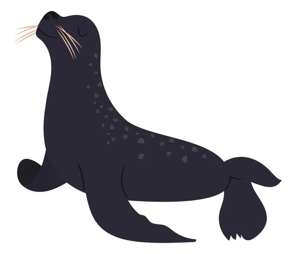 Selo Sealife Ícone Natureza Animal — Vetor de Stock