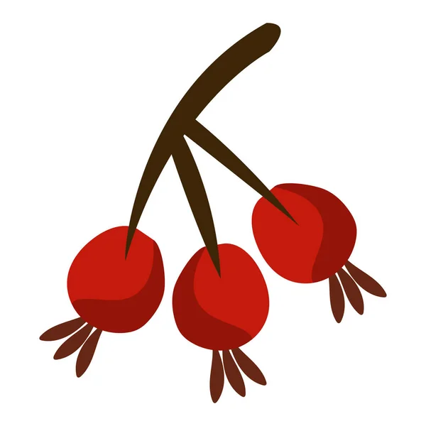 Zweig Mit Samen Herbst Symbol — Stockvektor