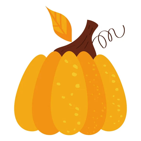 Знак Осеннего Сезона Тыквенных Овощей — стоковый вектор