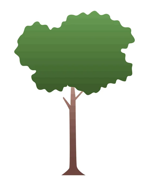 Δέντρο Φυτό Δάσος Φύση Εικονίδιο — Διανυσματικό Αρχείο