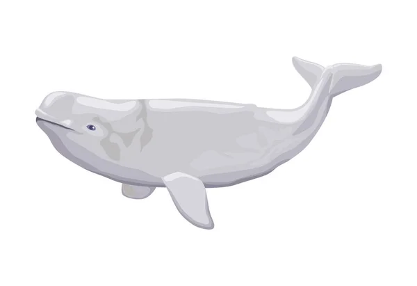 Beluga Φάλαινα Sealife Ζώο Εικονίδιο — Διανυσματικό Αρχείο