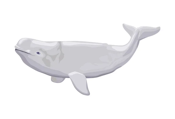 Beluga Ballena Vida Marina Animal Icono — Vector de stock