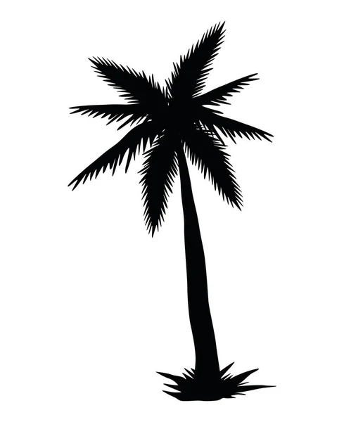 Tree Palm Forest Silhouette Icon — Stock Vector