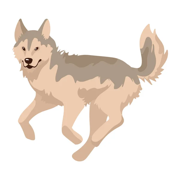 Husky Dog Mascot Domestic Character — Stock Vector