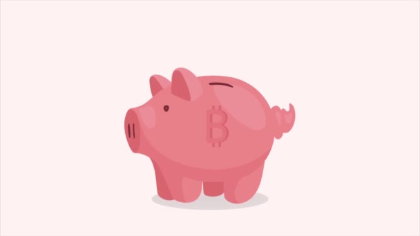 小猪省钱金融动画 4K视频动画 4K视频动画 — 图库视频影像
