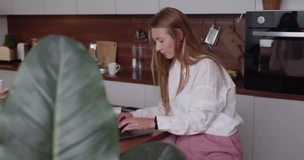 Dizüstü bilgisayar kullanan, geç saatlere kadar mutfak masasında oturan ciddi, 30-35 arası serbest çalışan bir iş kadını.. — Stok video