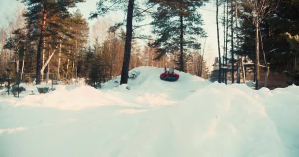 Winterlicher Wochenendspaß. Schöne glücklich lächelnde Frau Rodeln in den 30er Jahren, aufblasbare Schlitten fahren in sonniger Waldzeitlupe. — Stockvideo